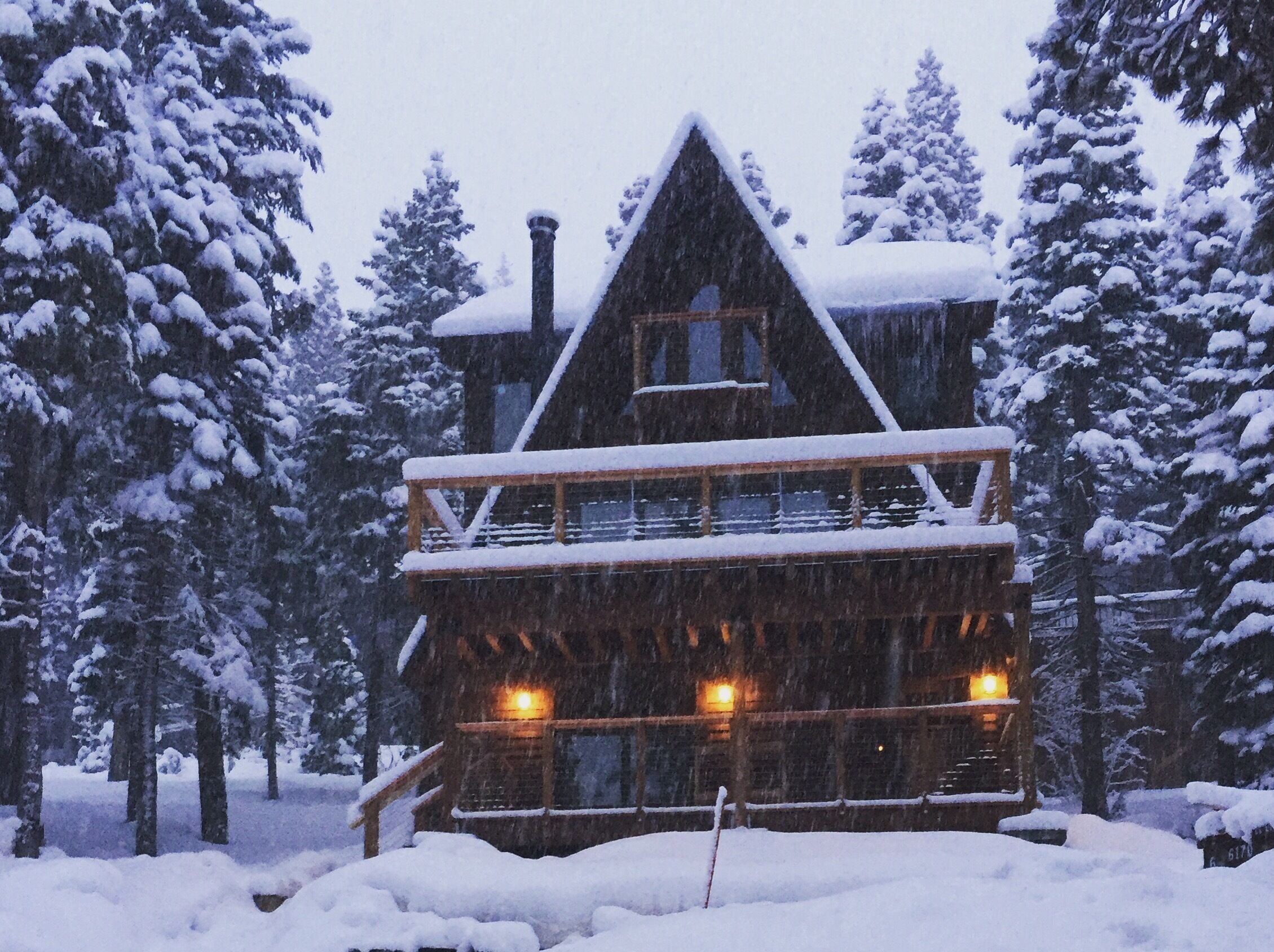 Winter Wonderland