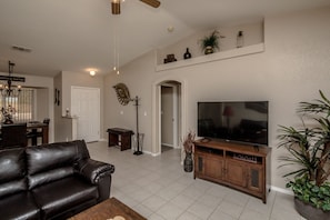 智能电视、Netflix、DVD 播放器、乒乓球