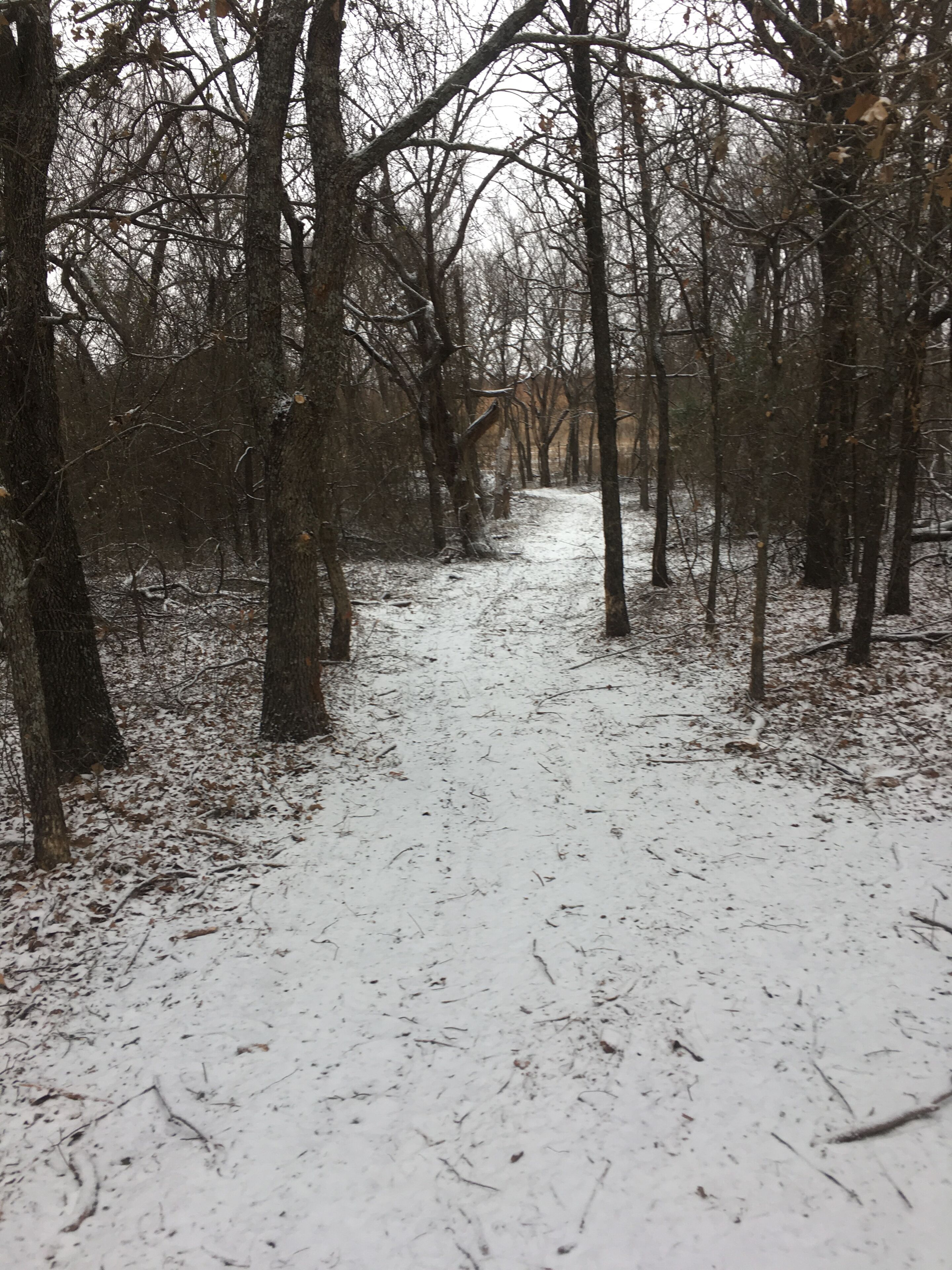 Un sentier forestier recouvert de neige.