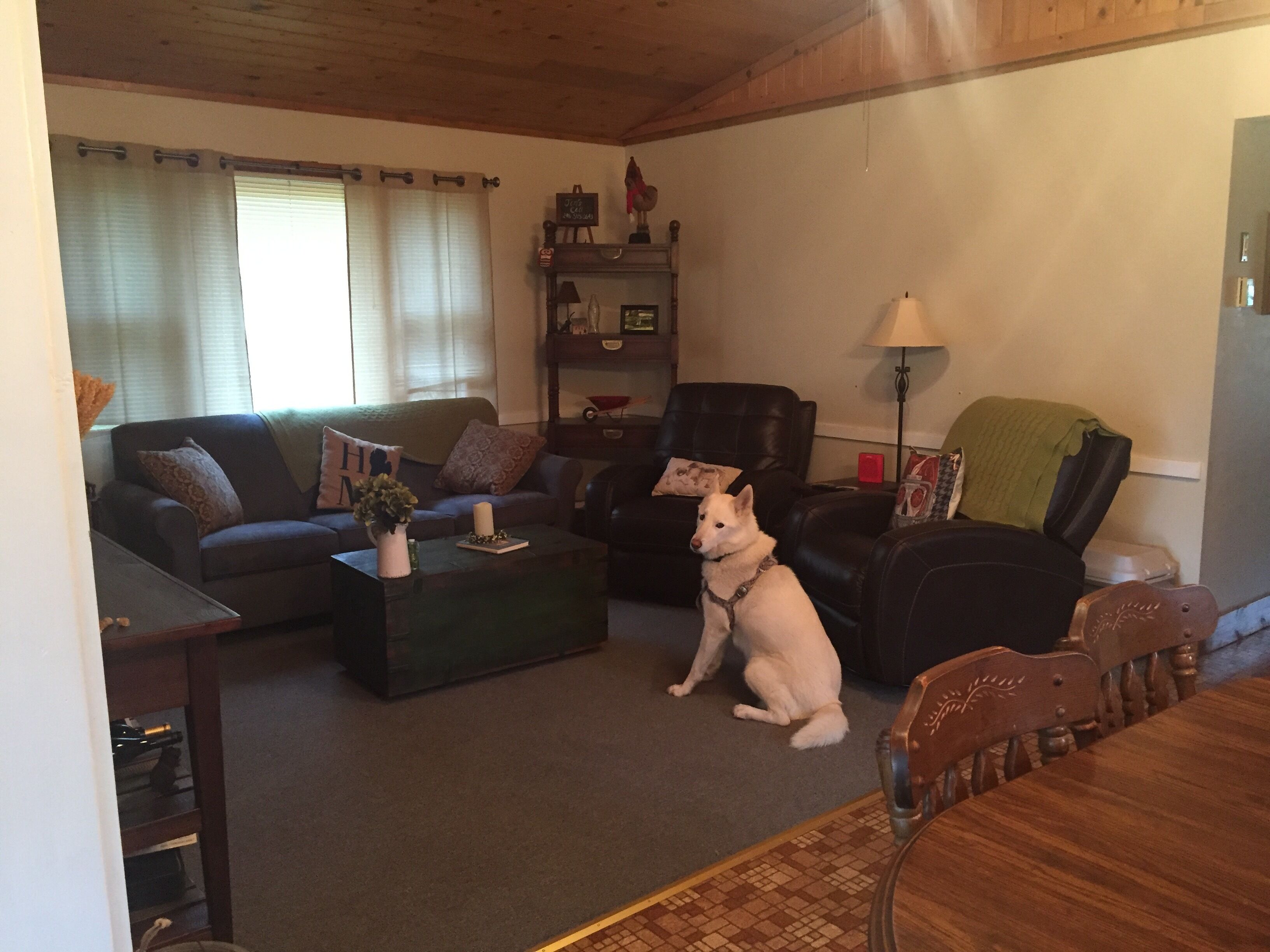 Red Roof Hilltop Cottage Overlooking Lake W/Extra Bunkhouse And Pet Friendly!