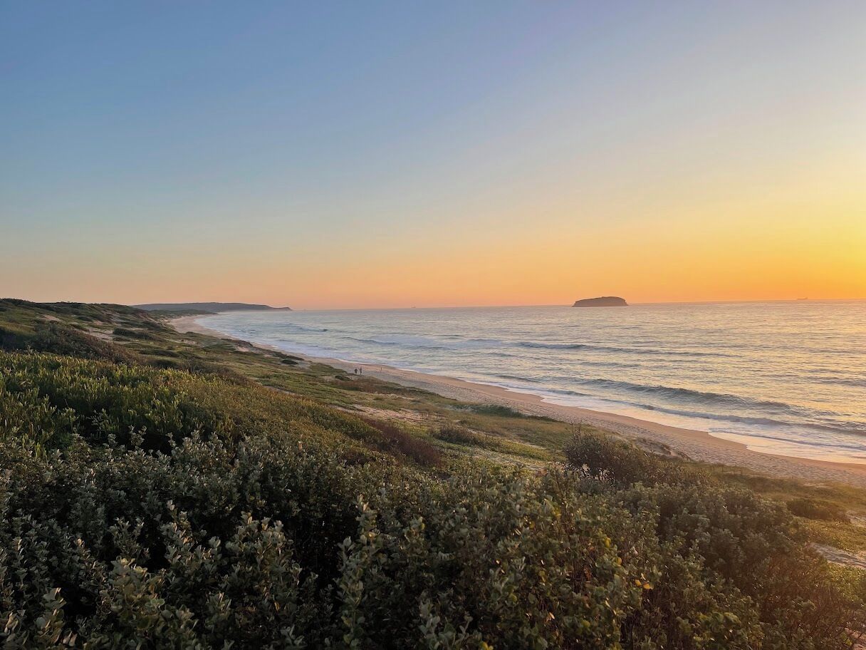 A coastal landscape with a beach, ocean, and vegetation.