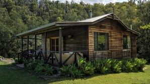 Een houten chalet met een veranda, omgeven door weelderige begroeiing.