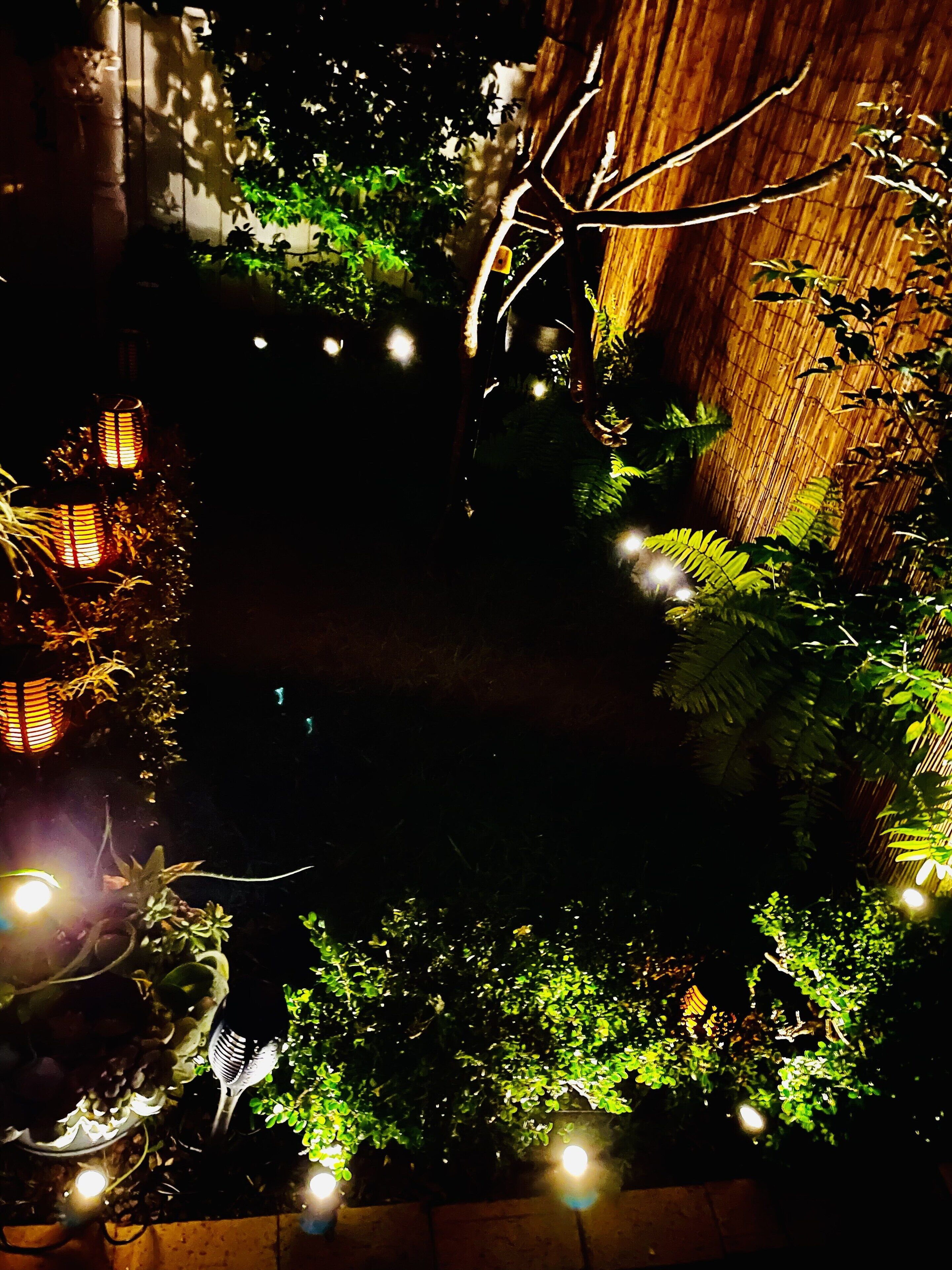 4 bedroom house 2 mins walk to manly beach — image 27