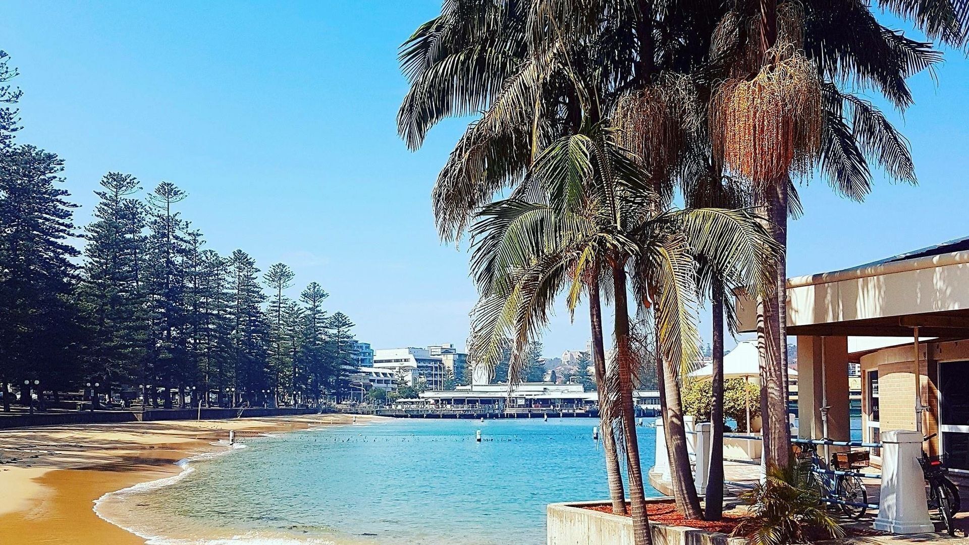 4 bedroom house 2 mins walk to manly beach — image 8
