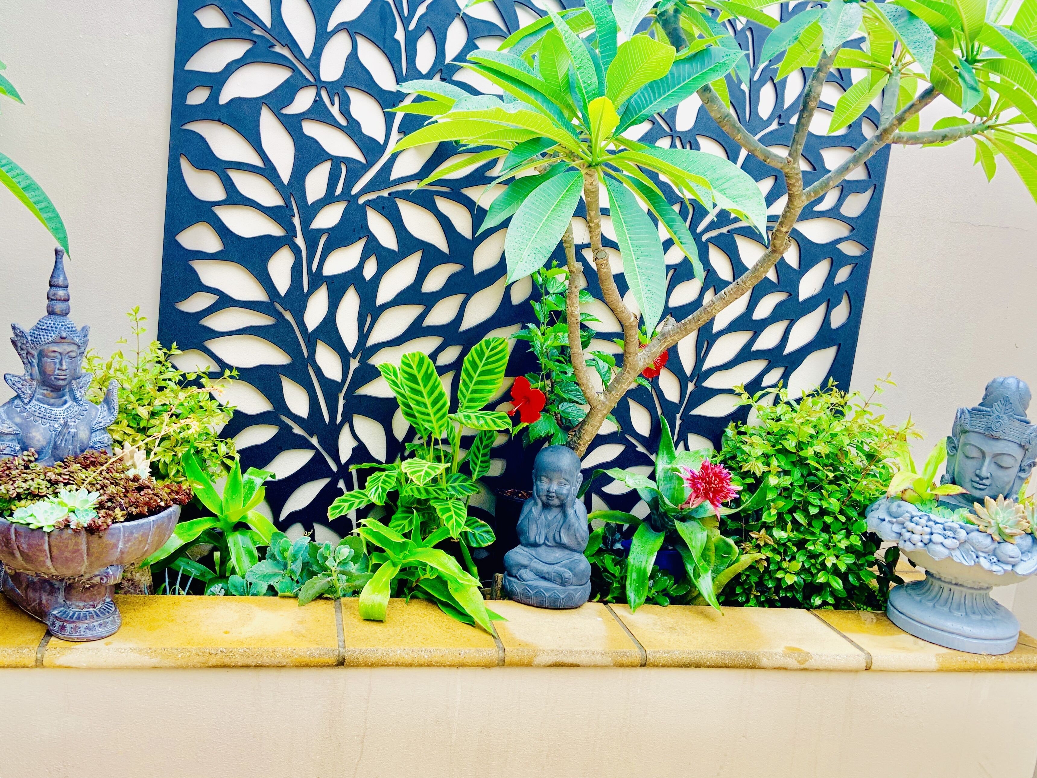 4 bedroom house 2 mins walk to manly beach — image 30