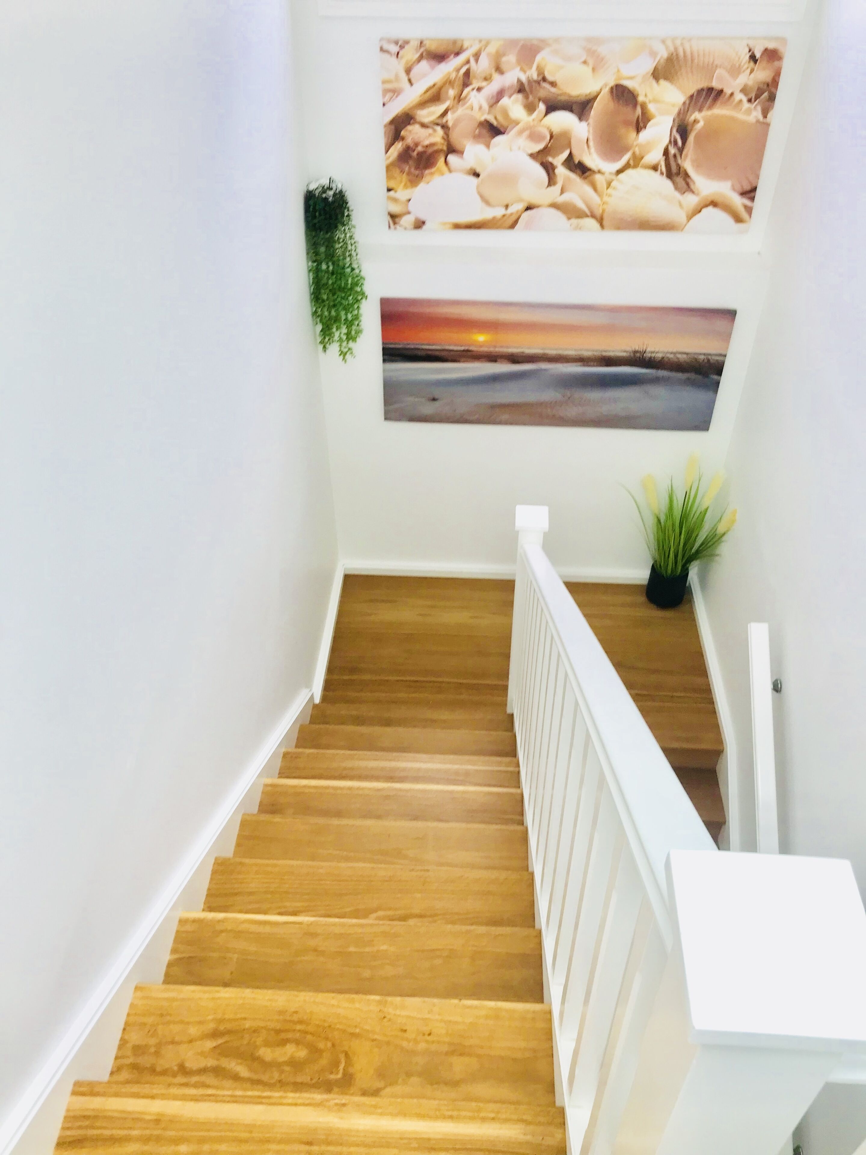 4 bedroom house 2 mins walk to manly beach — image 4