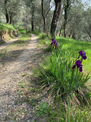 Maison de campagne restaurée avec amour à Olive Grove avec vignoble à 10 minutes de la mer
