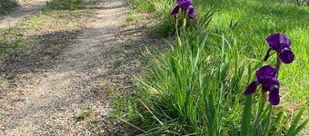 Maison de campagne restaurée avec amour à Olive Grove avec vignoble à 10 minutes de la mer