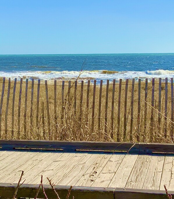 ビーチの近く、サンラウンジャー