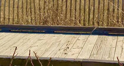 * Suuri Kure Beach Getaway *