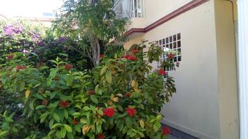 Details aan de buitenkant