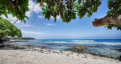 Direct Oceanfront Condo: New Remodel, AC, Tidepools, Sunsets, Turtles & Surfers