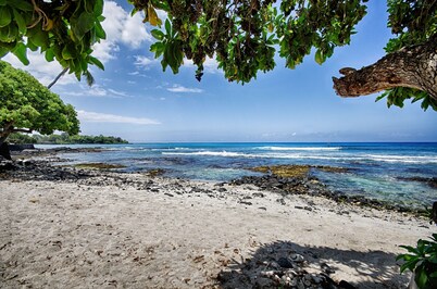  Direct Oceanfront Condo: New Remodel, AC, Tidepools, Sunsets, Turtles & Surfers