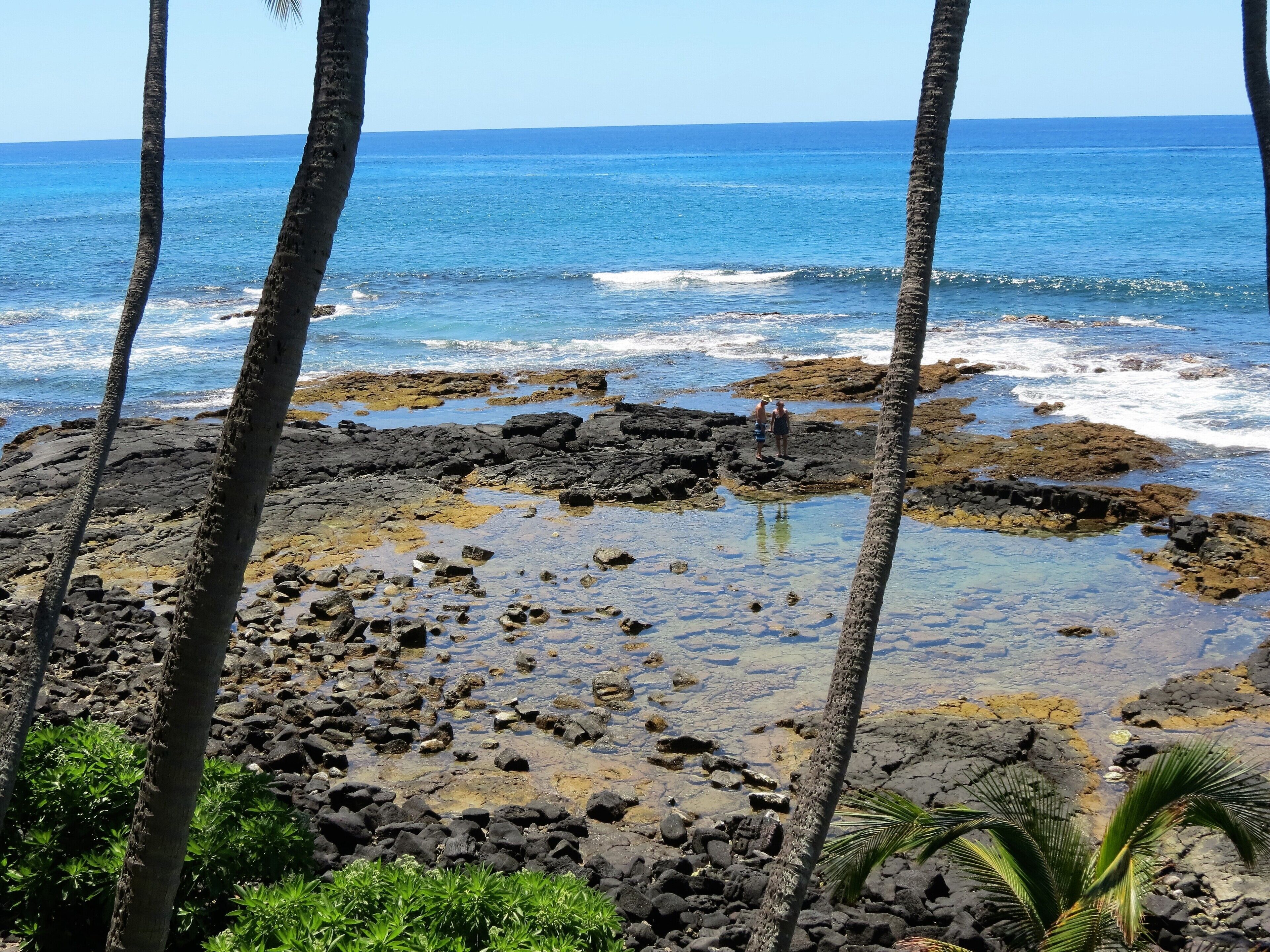 Uma costa rochosa com águas azul-claras e palmeiras.