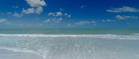 Plage, chaises longues, parasols