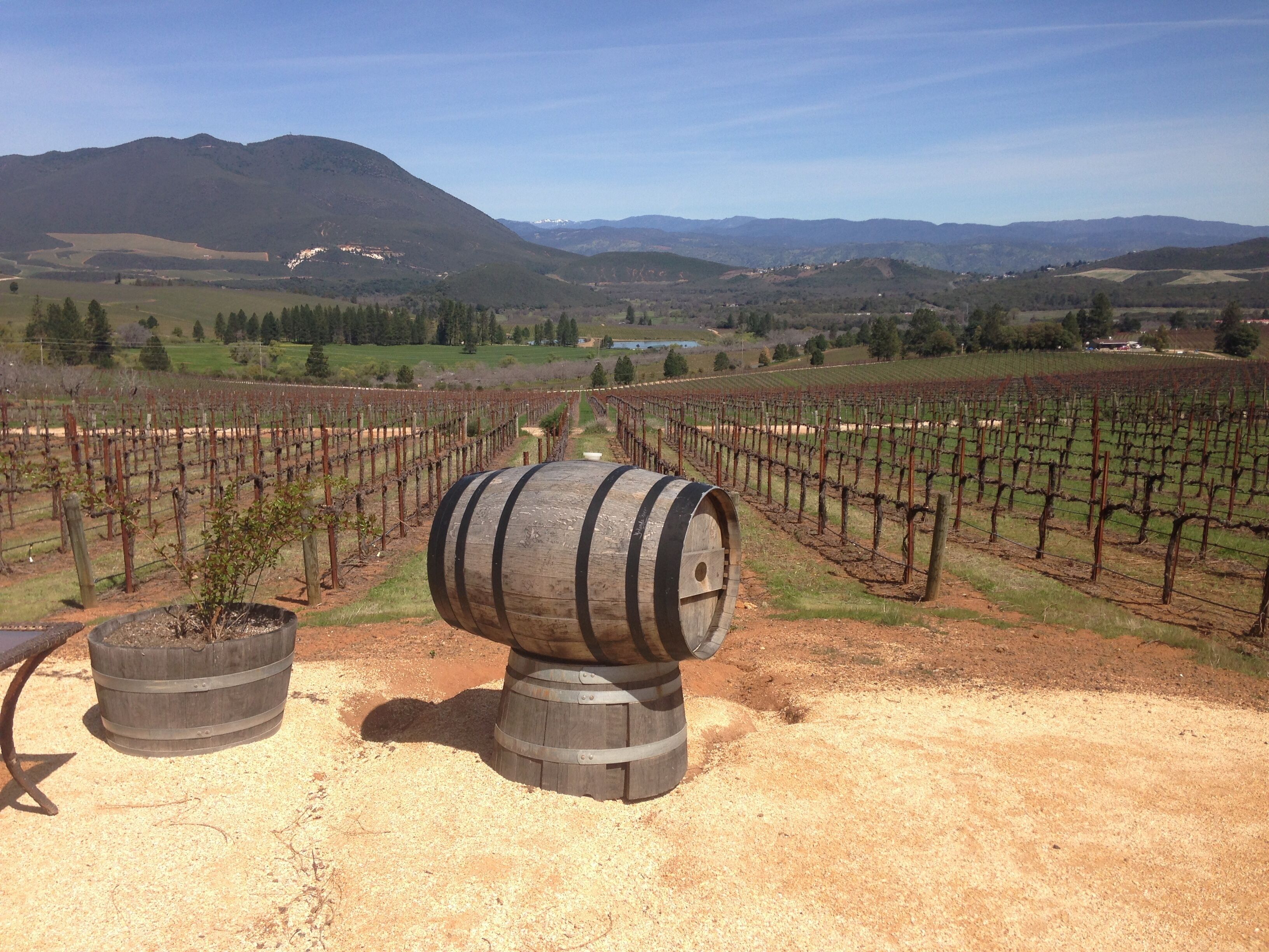 Fabulous view while wine tasting at Laujor winery in Kelseyville!