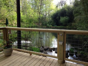 Property grounds - Beautiful Waterside Cabin (2), Great Location, View, 8 Min To Downtown, Biltmore (Asheville)