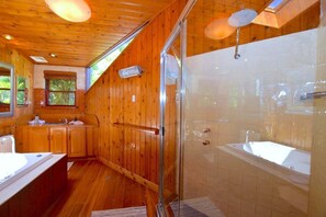Shower, jetted tub, hair dryer, towels