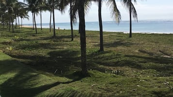Plage, chaises longues