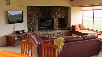 TV connectée, cheminée, lecteur de DVD, livres