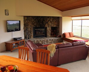 Smart TV, fireplace, DVD player, books