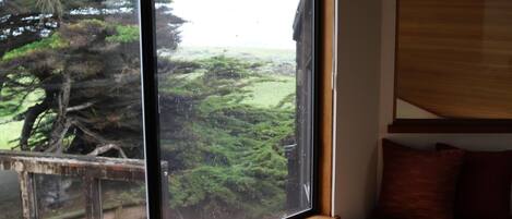 A room with a large window, a cushioned bench, and a view of a forest.