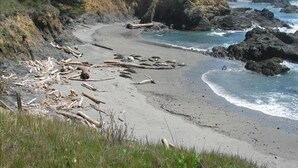A coastal beach with driftwood and rocks, surrounded by cliffs and ocean waves. - OCEAN FRONT-WHITE WATER VU from every room - above Del Mar Cove (The Sea Ranch)