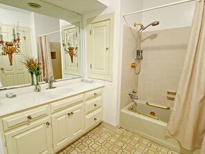 Combined shower/tub, hair dryer, bidet, towels