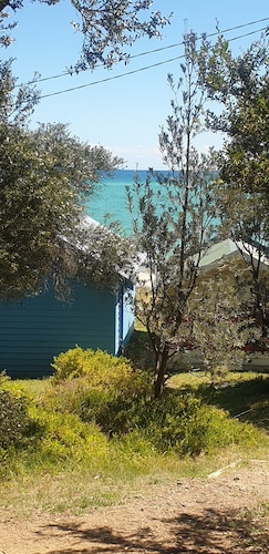 Sea change/ tree change