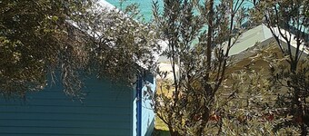 Cambio de mar / cambio de árbol