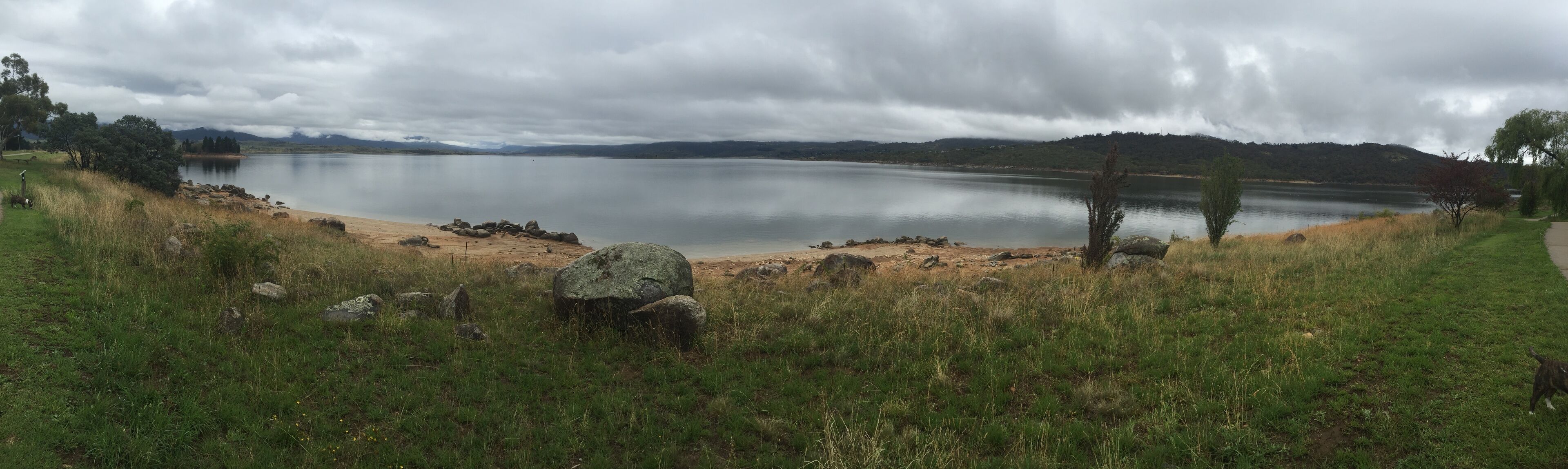 Red Gums 2/50 Townsend Street — image 15