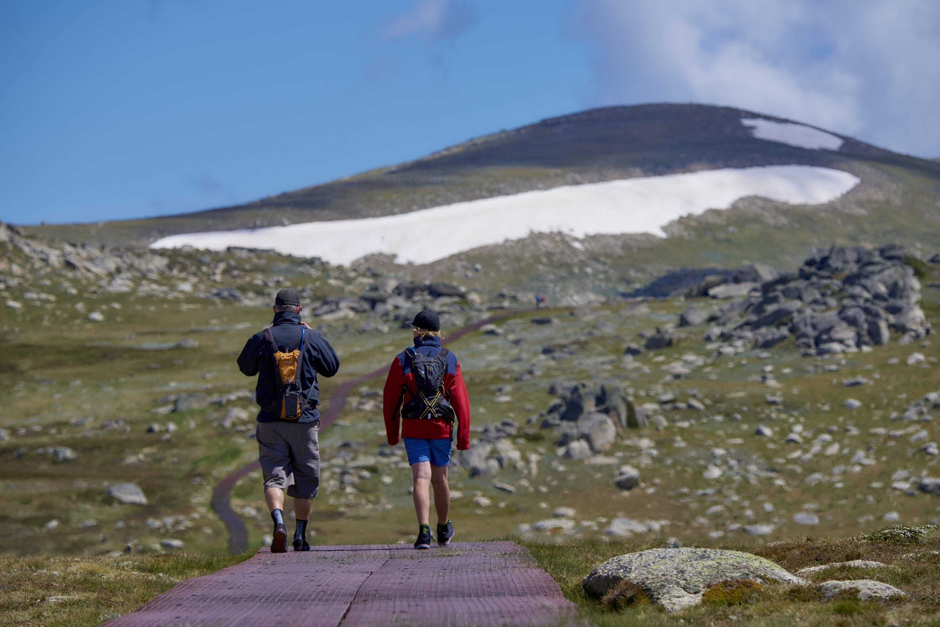 Red Gums 2/50 Townsend Street — image 3