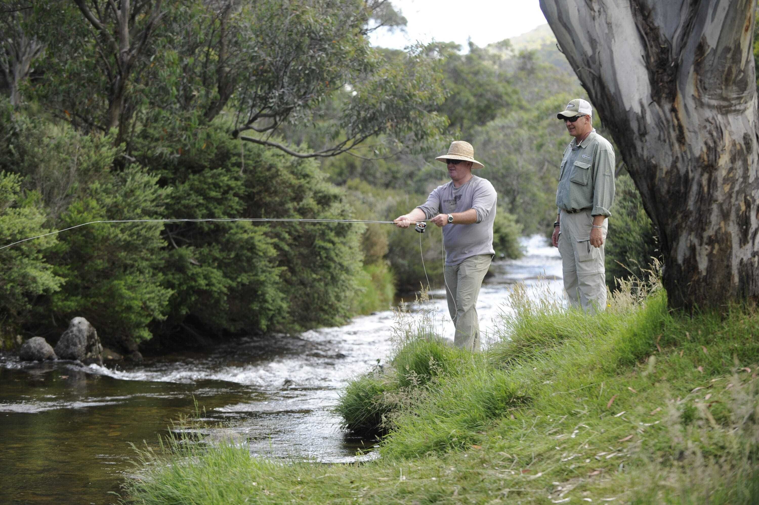 Red Gums 2/50 Townsend Street — image 16
