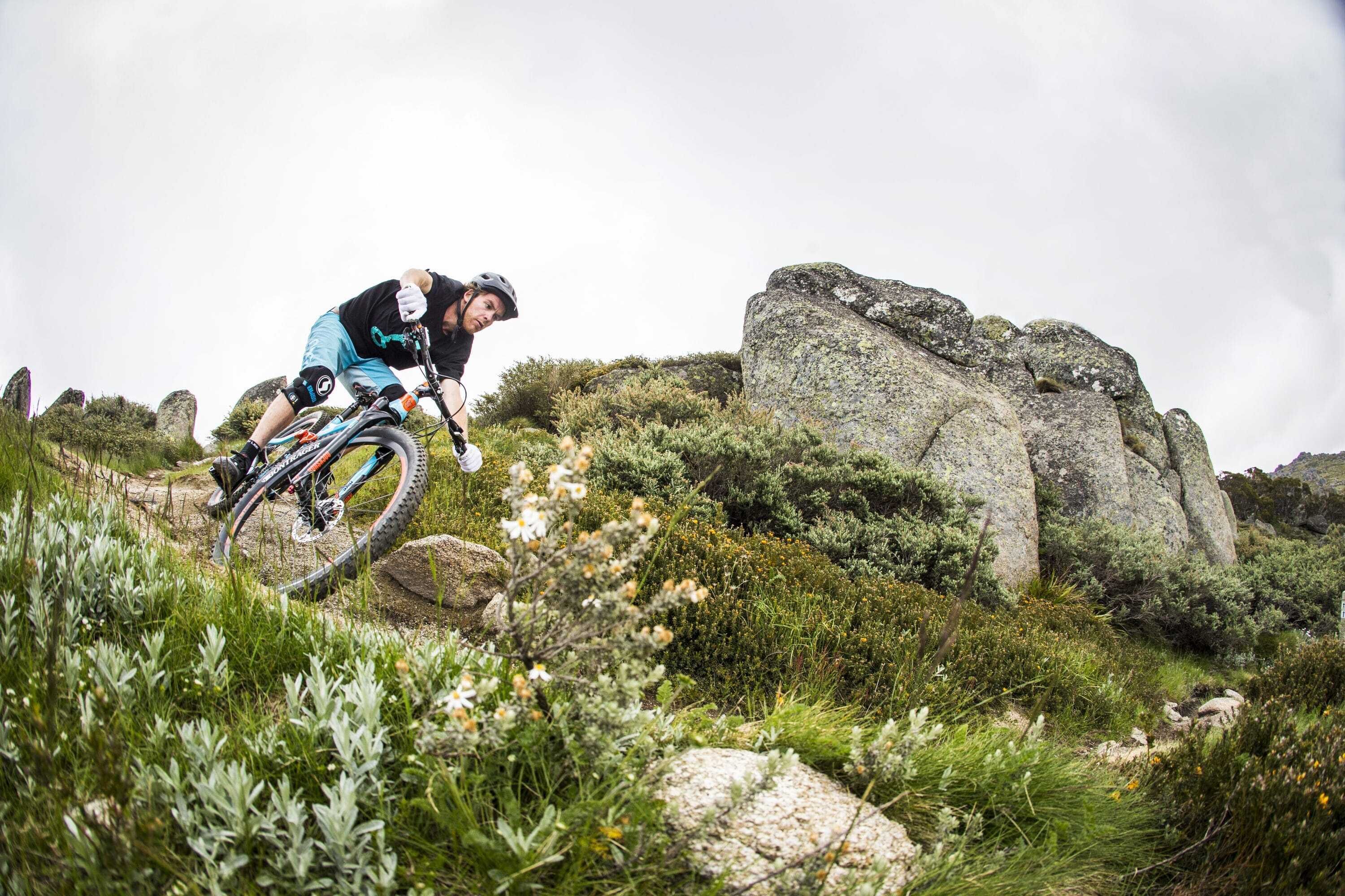 Red Gums 2/50 Townsend Street — image 4