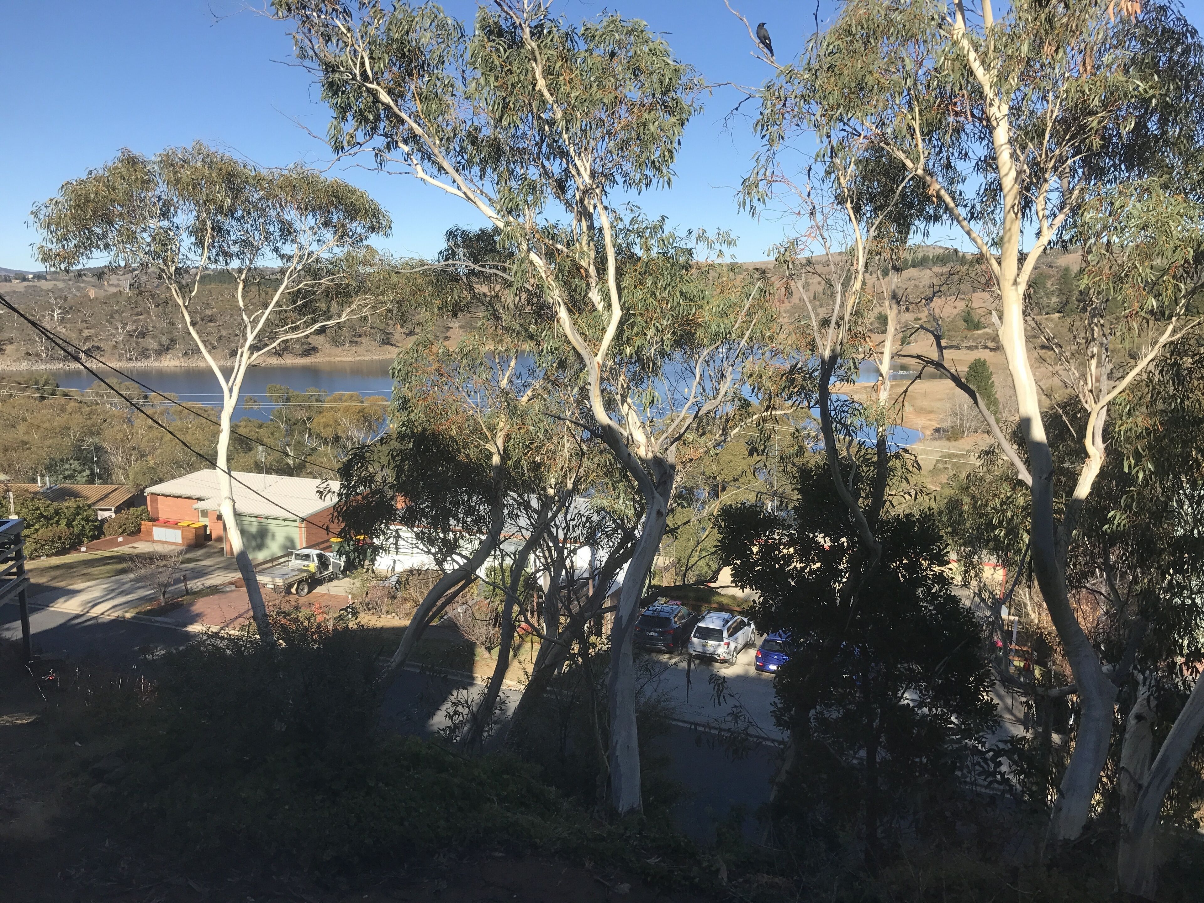 Red Gums 2/50 Townsend Street — image 13