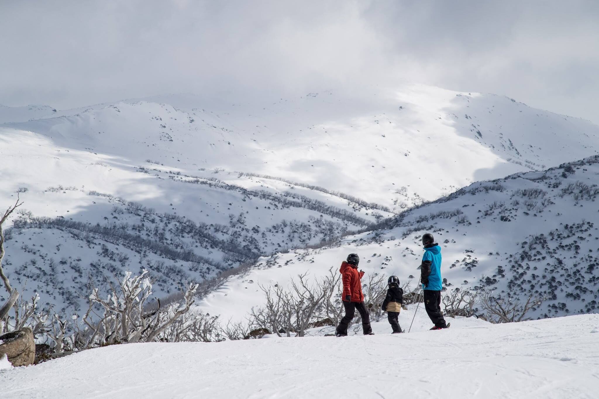 Red Gums 2/50 Townsend Street — image 17