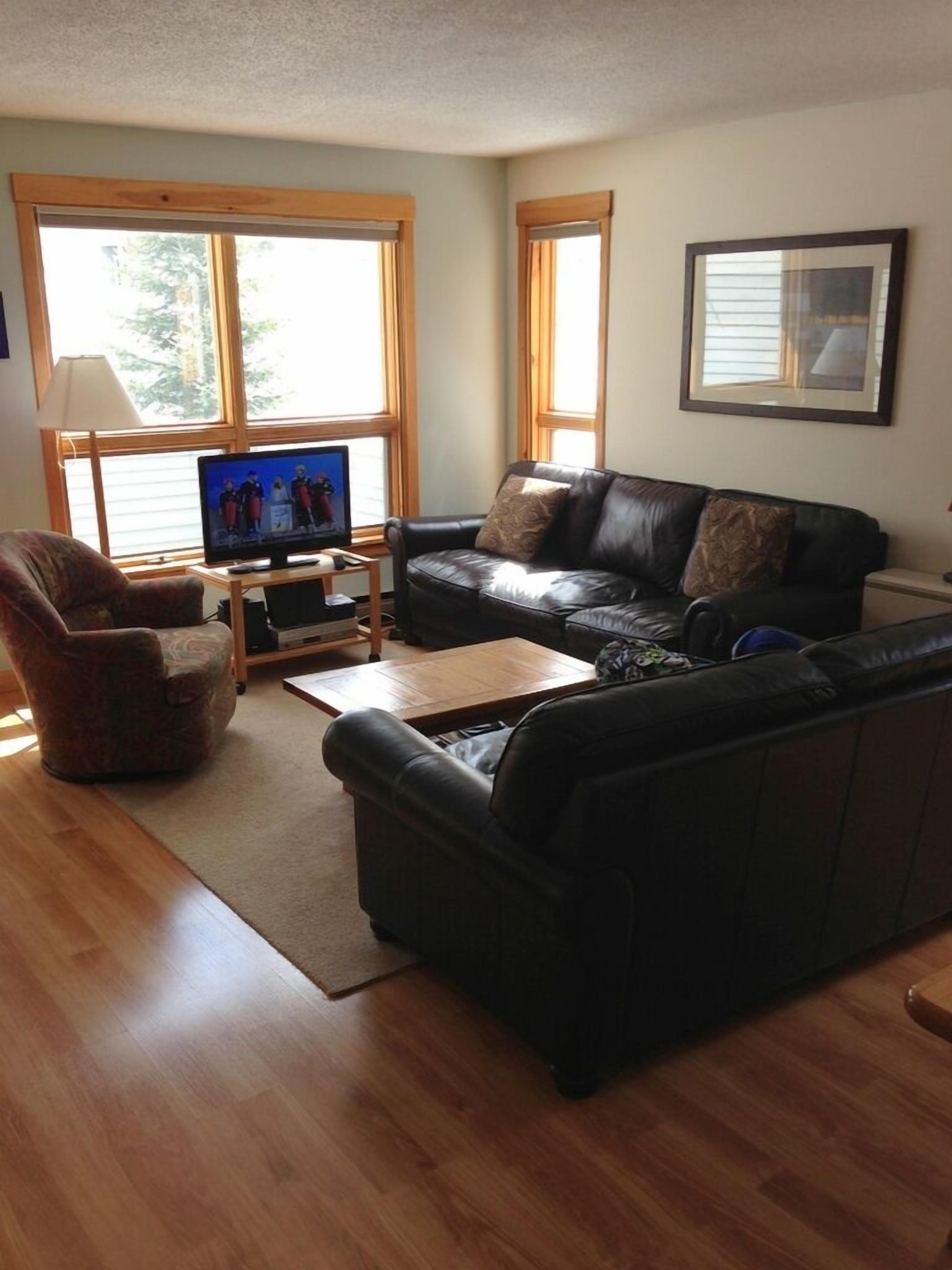 Trailside, four bedroom, sun filled condo, with pool, view of Sugarloaf and AC