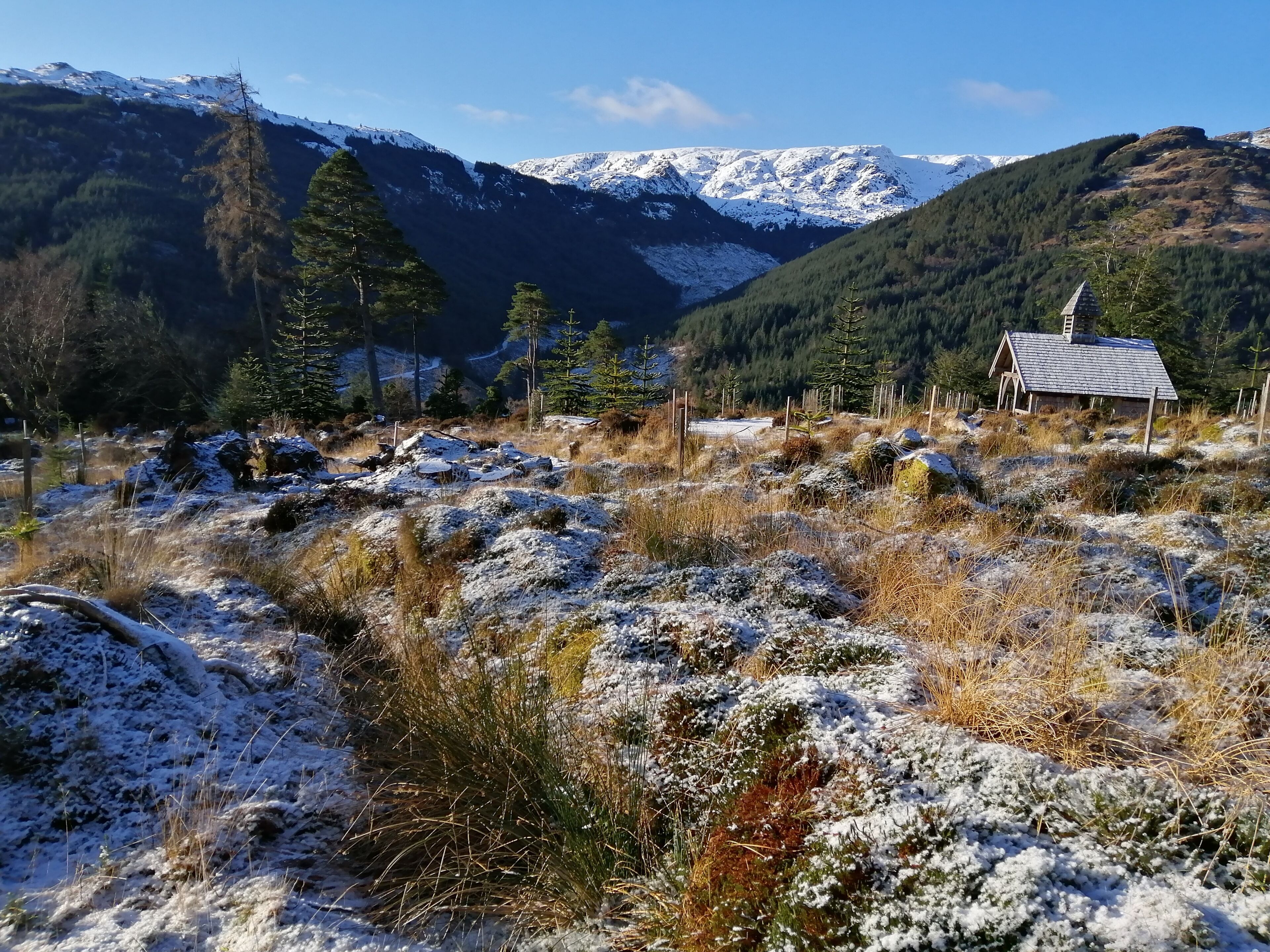 A mountainous landscape with a small cabin surrounded by snow-covered terrain and evergreen trees.