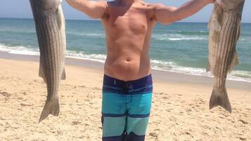 On the beach, sun loungers, beach towels