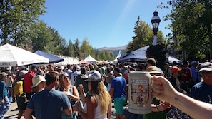 Unclassified image, 5 of 46, button