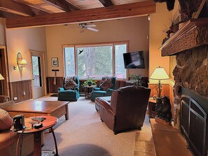 TV, fireplace, video games, DVD player