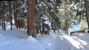 Una cabaña rodeada de árboles cubiertos de nieve.
