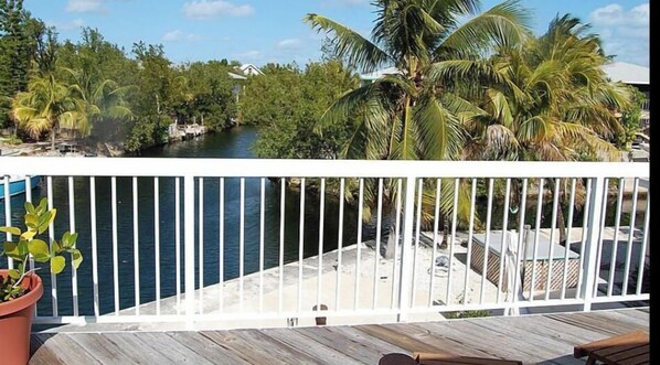 A balcony with a view of a river, palm trees, and a wooden deck.