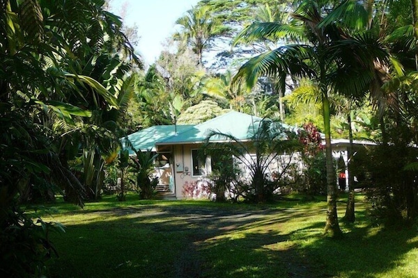!Hale Lezarde driveway. One acre of tropical paradise awaits you!