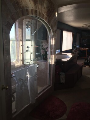 Jetted bath, hair dryer, bidet, towels