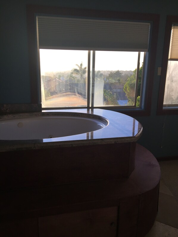 A room with a large window, a round bathtub, and a view of a road and greenery outside.