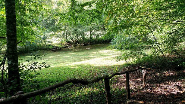 Un área boscosa con un claro cubierto de hierba, una mesa de picnic y una cerca de madera.