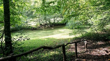 Àrea exterior de l'allotjament