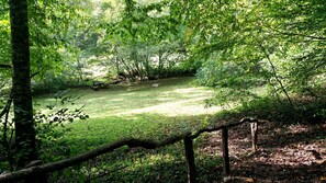 Un área boscosa con un claro cubierto de hierba, una mesa de picnic y una cerca de madera.