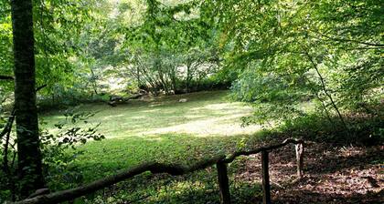 Blockhaus mit Whirlpool in der Nähe von Casino, Cherokee & Bryson City